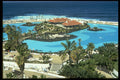 383080 Puerto De La Cruz, Lido, Tenerife, Spain A4 Photo Print