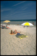 384003 Soaking Up The Sunshine A4 Photo Print