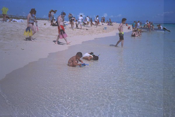 384004 Michaelmas Cay, Great Barrier Reef, Australia A4 Photo Print