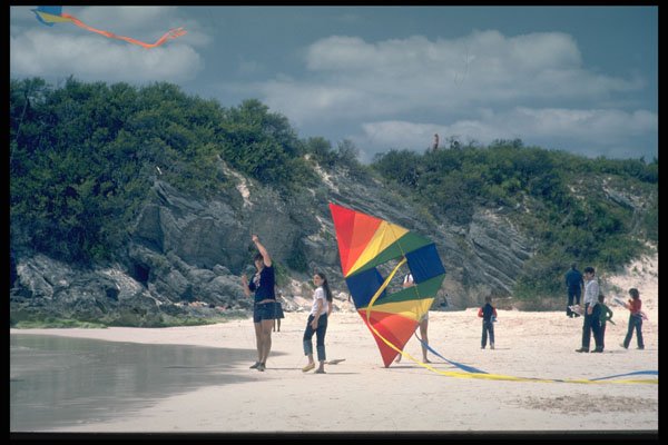 384015 Annual Easter Kite Flying, Bermuda A4 Photo Print