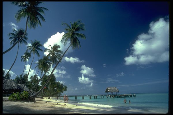 384035 Sandy, Sunny And Clean Beach,Tobago, Trinidad A4 Photo Print