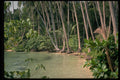 384053 Secret Island Cove, Thailand A4 Photo Print