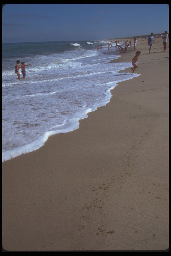 384055 Nauset Beach, Cape Cod, Massachusetts A4 Photo Print