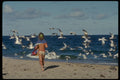 384058 Running On The Beach A4 Photo Print