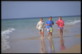 384061 Canary Islands A4 Photo Print