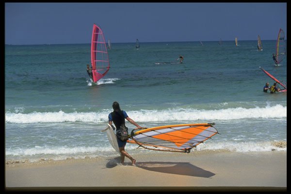 384073 Windsurfing A4 Photo Print