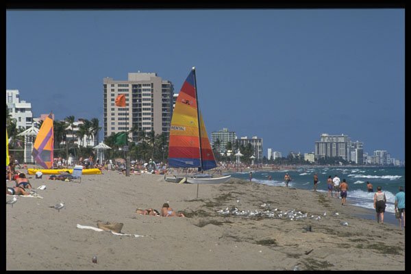 384091 Beach, Fort Lauderdale, Florida A4 Photo Print