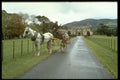 385001 Muckcross House, Killarney A4 Photo Print