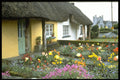 385006 Adare, Limerick A4 Photo Print