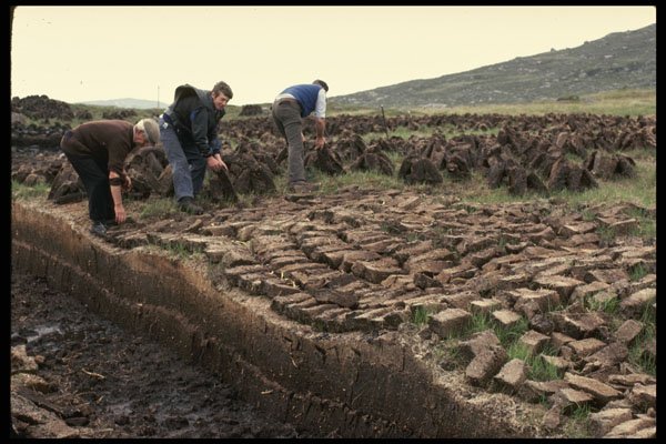 385009 Preparing Peat For Fuel A4 Photo Print