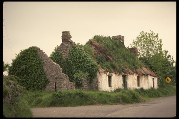 385011 Derelict Cottage A4 Photo Print