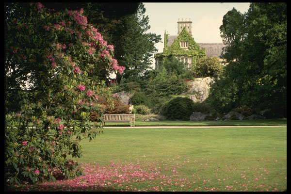 385020 Muckross House A4 Photo Print