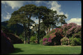 385021 Garden, Muckross House A4 Photo Print