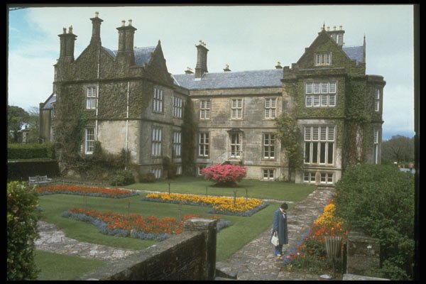 385024 Gardens Of Muckross House, Killarney A4 Photo Print