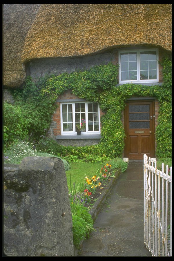 385029 Adare House, Door And Windows A4 Photo Print
