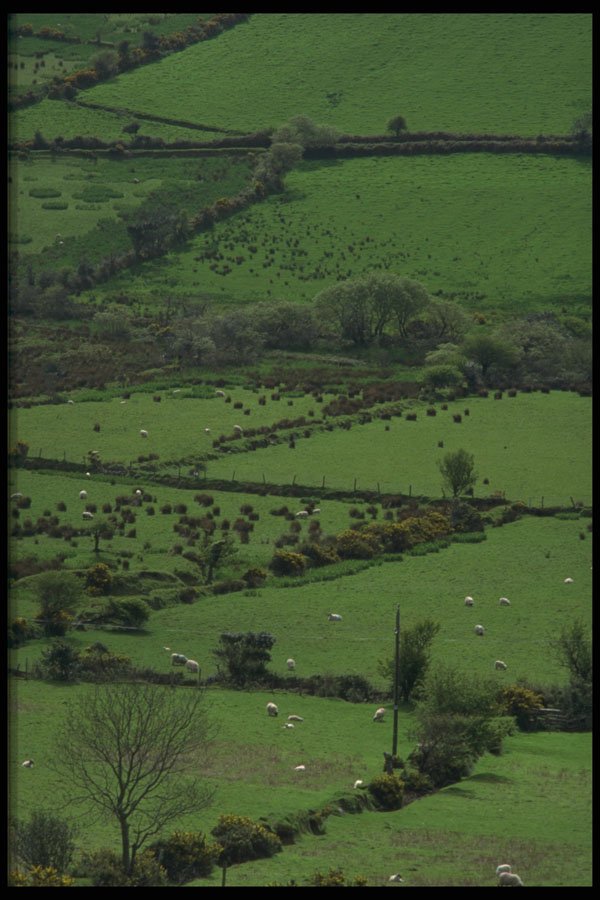 385030 Discover The Valleys A4 Photo Print
