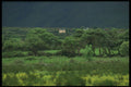 385037 A Lovely Country Setting A4 Photo Print