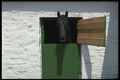 385041 A Day On The Farm A4 Photo Print