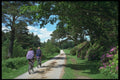 385054 Cycling Throughout The Counties A4 Photo Print