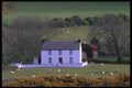 385055 Life On The Dingle Peninsula A4 Photo Print