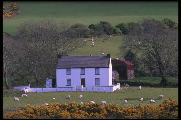385055 Life On The Dingle Peninsula A4 Photo Print
