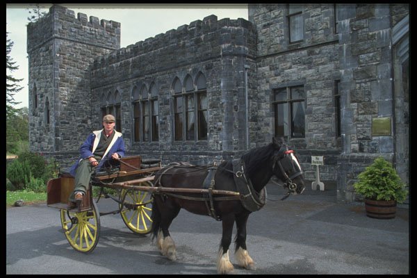 385058 Jaunty Cart Patron A4 Photo Print