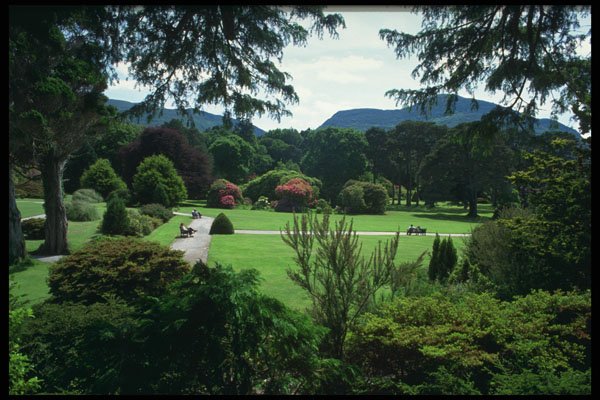 385062 A Beautiful Garden View A4 Photo Print