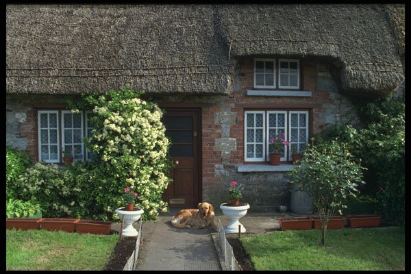385065 A Quaint Irish Thatched Home A4 Photo Print
