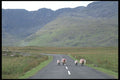 385080 Mweelrea Mountains, County Mayo A4 Photo Print