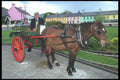 385090 Pony And Jaunting Cart, Sneem A4 Photo Print