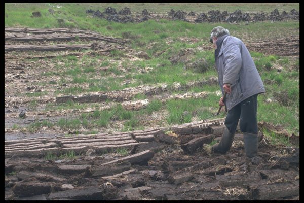 385096 Raking Row Of Peat Into Sections A4 Photo Print