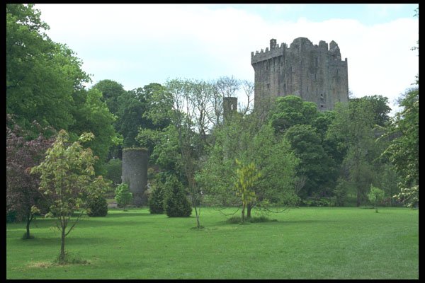 385098 Blarney Castle A4 Photo Print