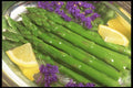 386004 Asparagus A4 Photo Print