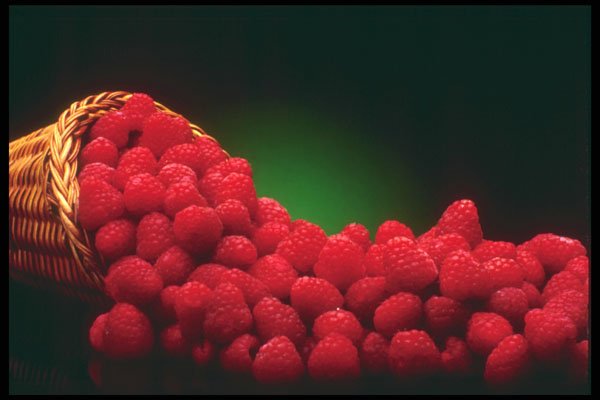 386021 Fresh Raspberries From A Basket A4 Photo Print