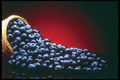 386023 Fresh Blueberries From A Basket A4 Photo Print