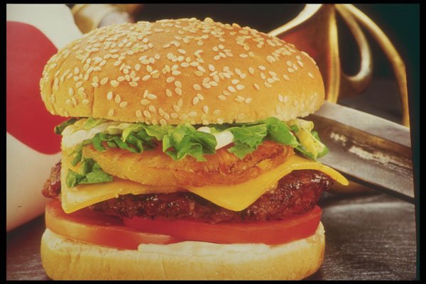 386026 Teriyaki Burger A4 Photo Print