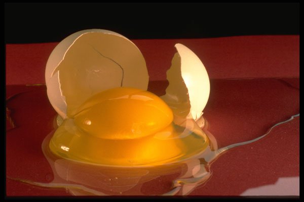 386027 Cracked Raw Egg A4 Photo Print