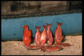 386033 Catch Of The Day A4 Photo Print