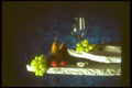 386036 Wineglass With Fruit On Marble A4 Photo Print