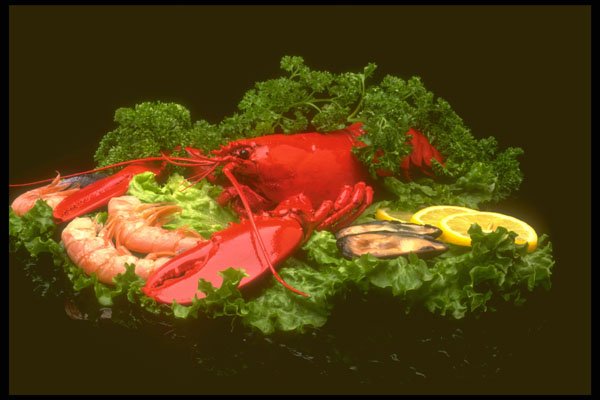 386041 Lobster, Shrimp, Lemon And Mussels On Lettuce A4 Photo Print