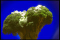 386055 Broccoli With Ice On Top A4 Photo Print