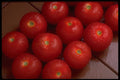 386067 Tomato On Wet Tiles A4 Photo Print