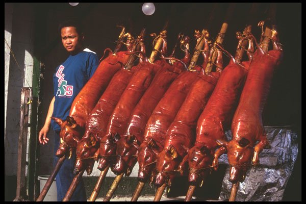 386092 Lechon, Philippine Suckling Pig A4 Photo Print