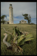 387009 Ragged Point Light, Barbados A4 Photo Print