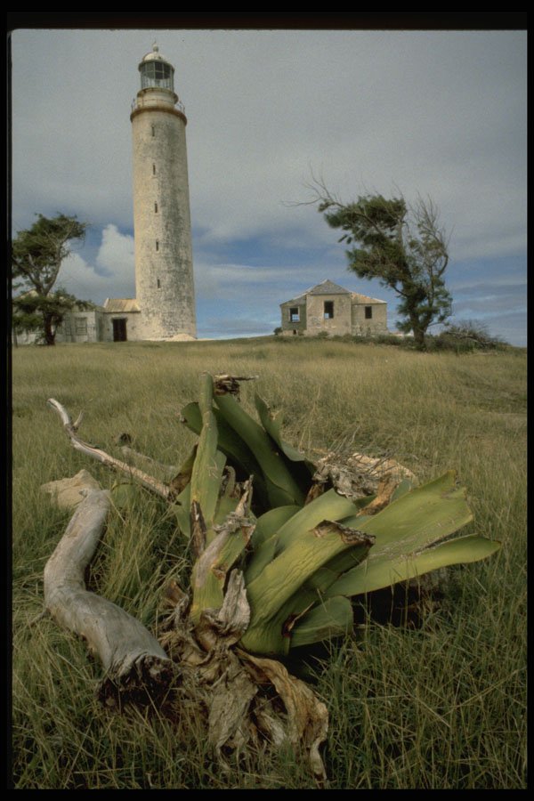 387009 Ragged Point Light, Barbados A4 Photo Print