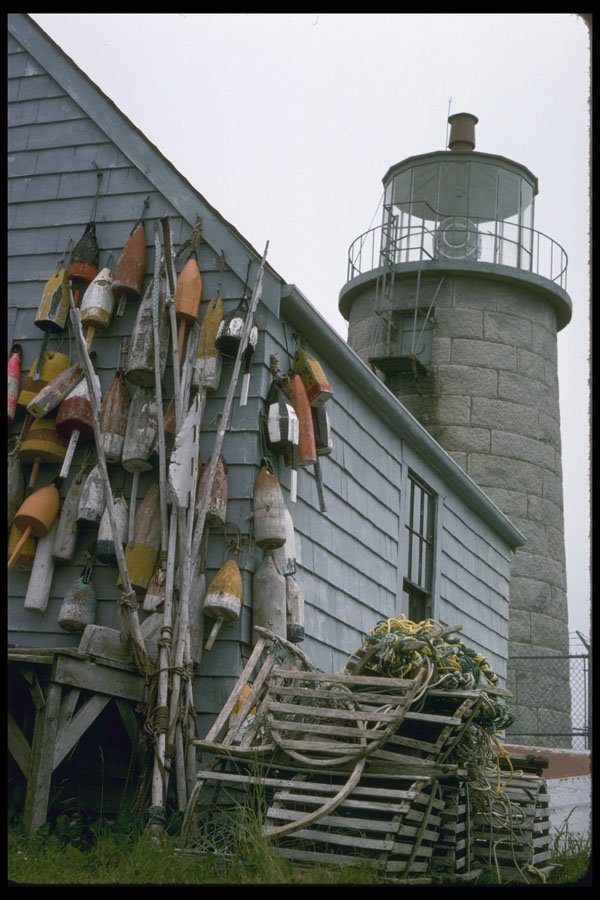 387082 A Lobster catching Keeper, Monhegan Island, Maine A4 Photo Print