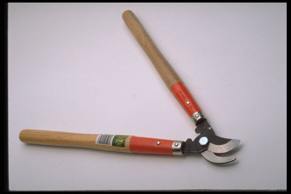 389091 Pruning Shears A4 Photo Print