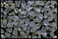 390022 Planencia, Belize A4 Photo Print