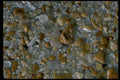 390025 Collardy, Australia A4 Photo Print