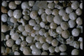 390026 Forams, Pernera, Cyprus A4 Photo Print